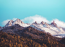 大舞台：让品牌在聚光灯下自白